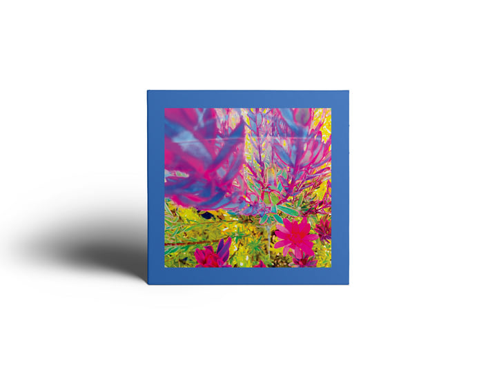 The Past Is A Garden I Never Fed | The Reds, Pinks & Purples