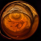 bspinsby thumbnail