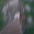 ergewer thumbnail