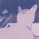 goose manoeuvres thumbnail