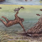 diabeticus thumbnail