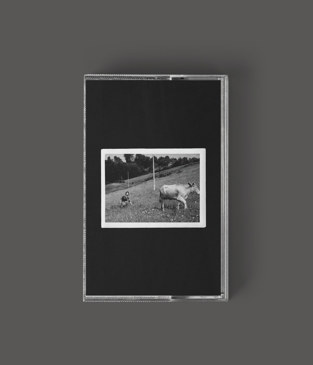 邦楽 Lamp A Distant Shore (Live Album) CD A Distant Shore” (Live Album) | Lamp | Botanical House