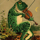 The_Frogist thumbnail