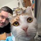 stubz101 thumbnail