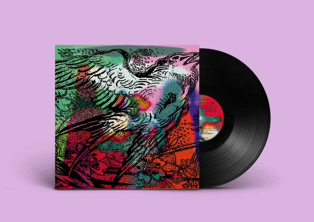 洋書 Shirokuma spin art   Hand Spun One Swallow Doesn't Make A Summer Part 8 | Various | Running