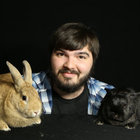 awesomebunny thumbnail