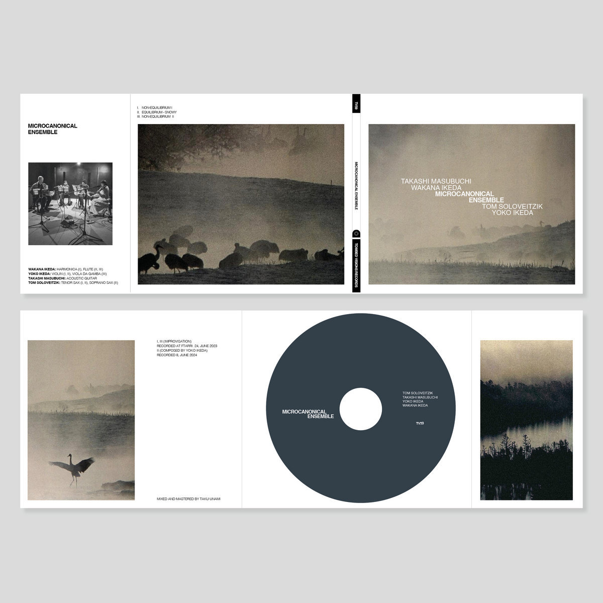 Microcanonical Ensemble | Takashi Masubuchi, Wakana Ikeda, Tom