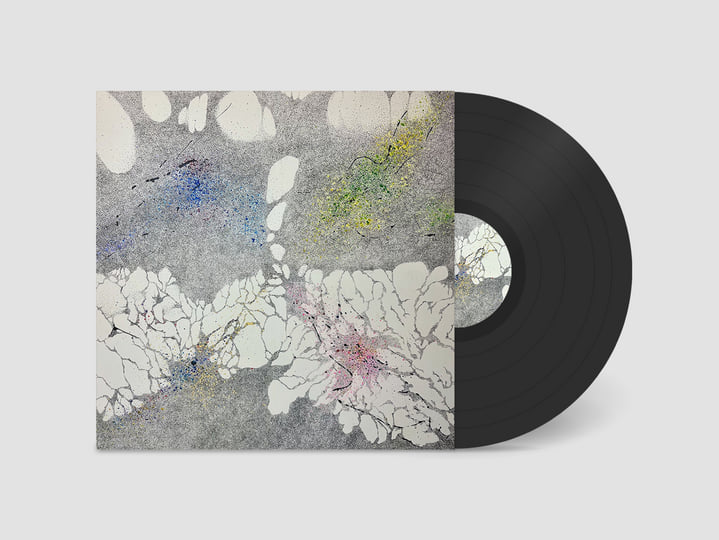 レコード TRINITY I get lonely アナログ レコード