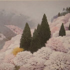 the forest fairies thumbnail