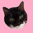 mgill thumbnail