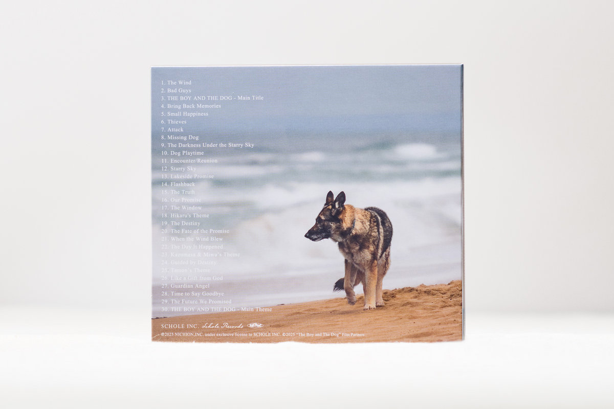 ☆美品 廃盤 希少☆韓国映画「私のオオカミ少年」OST CD