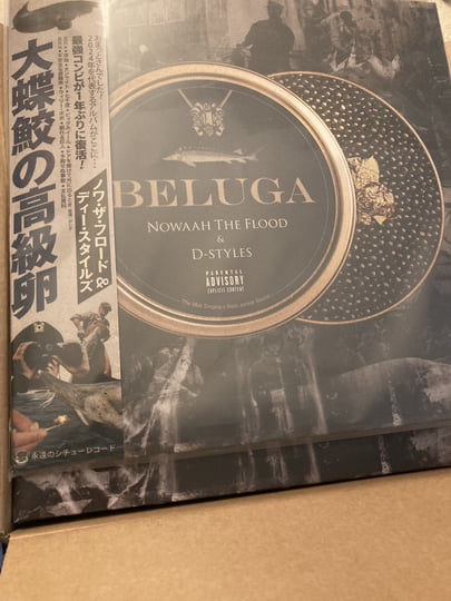BELUGA | Nowaah The Flood And D-Styles | NOWAAH THE FLOOD