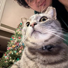 elydoo thumbnail