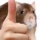 dubya em thumbnail