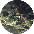 greg_norgaard thumbnail