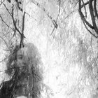 foolkids thumbnail