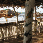 pipaluka thumbnail