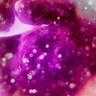 Pete thumbnail