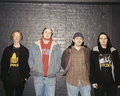 Rex Tycoon photo