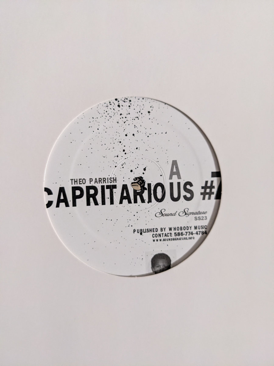 Theo Parrish セオパリッシュ　Dreamer's Blue's Dreamer's Blues on Traxsource