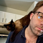 steve thumbnail