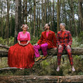 Bush Gothic image