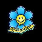 daisytrrip thumbnail