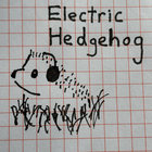Electric Hedgehog thumbnail
