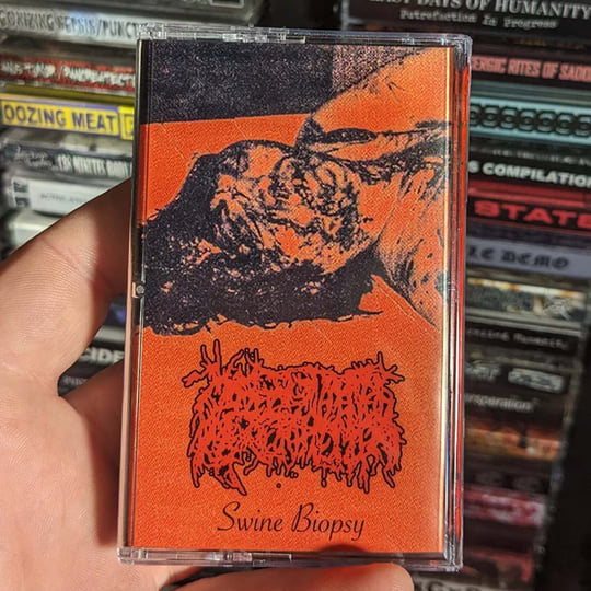 SWINE BIOPSY | MALIGNANT HYPERTHERMIA | BLAST ADDICT