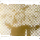 Succes De Scandale | The New Blockaders | advaita records