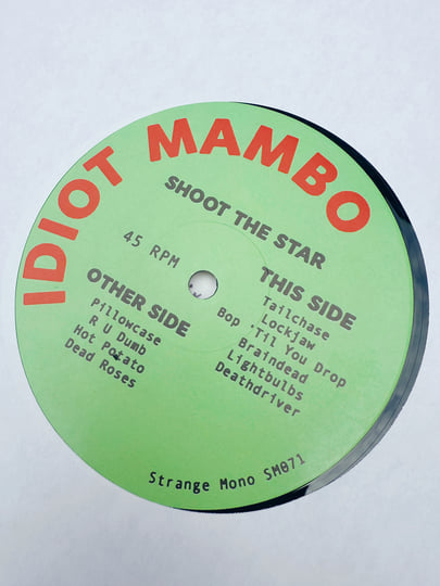 邦楽 THE IDIOT IDOLATERS SWANKYS GISM Idiot Idolaters - MAXIMUM ROCKNROLL
