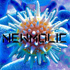 newmolic_purchased.joints thumbnail
