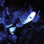glitchtrode thumbnail