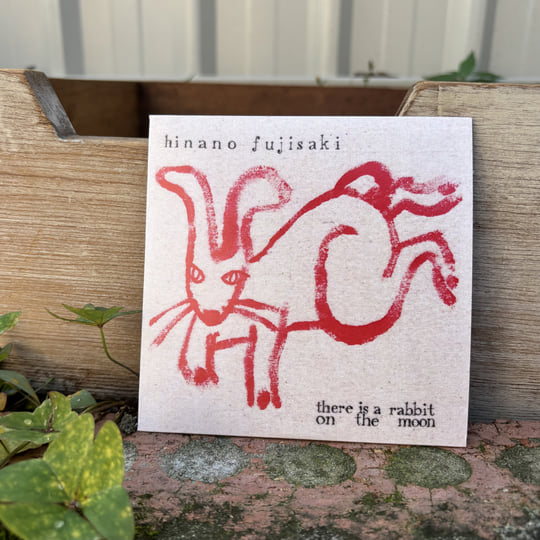 there is a rabbit on the moon | Hinano Fujisaki
