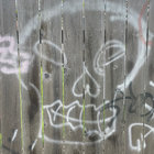 malogne thumbnail