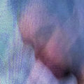 Sun Glitters photo