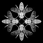 Aerial 1 | Tod Dockstader | imprec