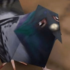 pijeon thumbnail