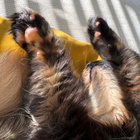 Baz Clark thumbnail