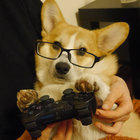 tim thumbnail