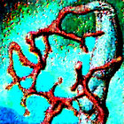 staing thumbnail