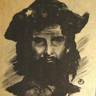 Harlequin  thumbnail