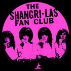 Sloppy Seconds Come Back Traci 7\"シングル Sloppy Seconds Come Back Traci 7