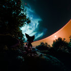 thycake thumbnail