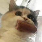 c1a1r1l1o1s thumbnail