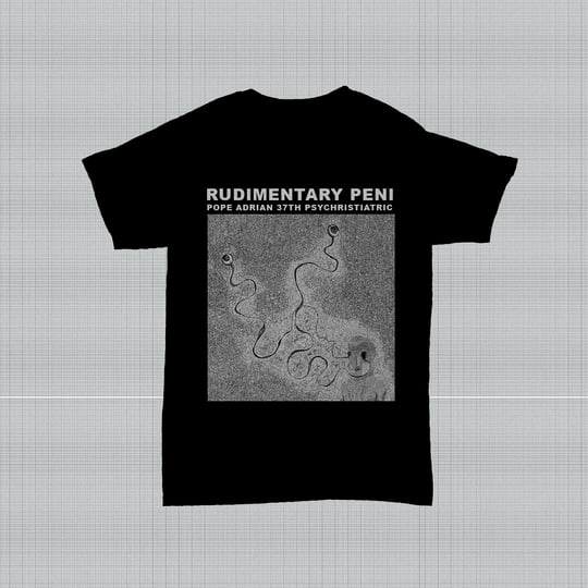 英LP Rudimentary Peni Pope Adrian 37th Psychristiatric SEAL030 Sealed Records 未開封 /00260 Pope Adrian 37th Psychristiatric | Rudimentary Peni