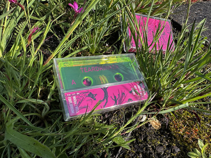 Killing the Flowers Will Not Delay Spring | Teardrinker