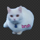 dj.LOVEBOMB thumbnail