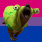 nimtiz thumbnail