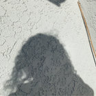sunny thumbnail